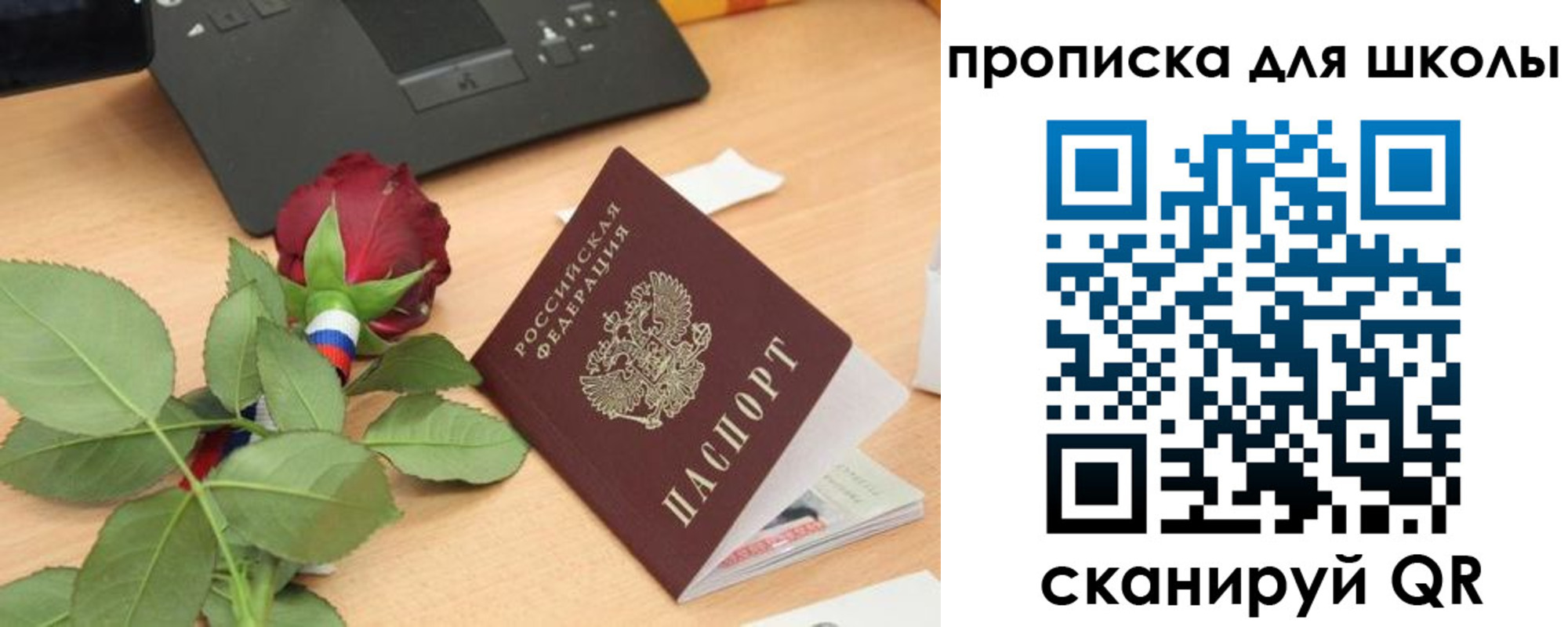 прописка паспорт в Борисоглебске